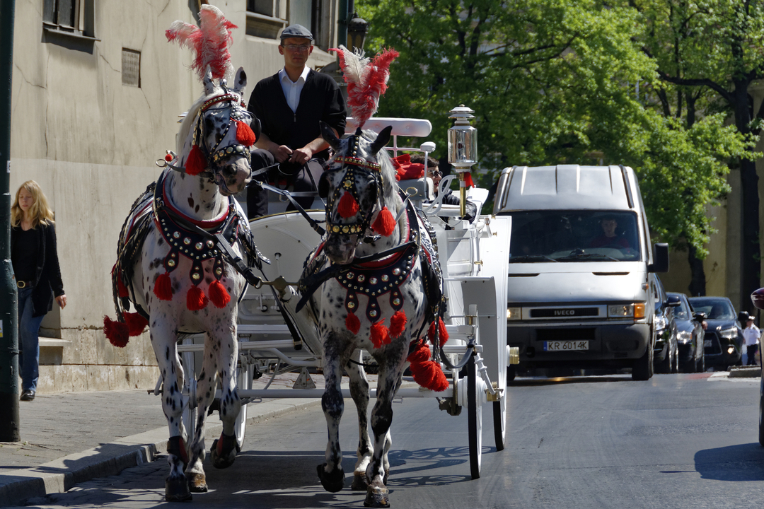 20160512-111928••Krakow•Lesser Poland Voivodeship•Poland